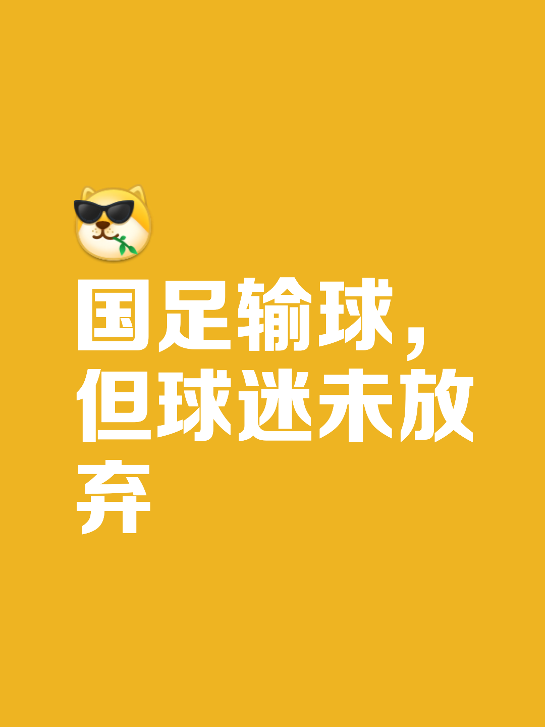 关于足球盛事吸引全球目光，层出不穷的信息