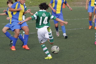 aoa体育体育下载-罗斯郡逆转利兹联，取得关键胜利